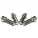 Holeshot Titanium Bolts - Expert/Pro (4-Pack)
